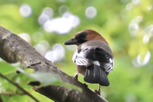 お久しぶり‼︎ 