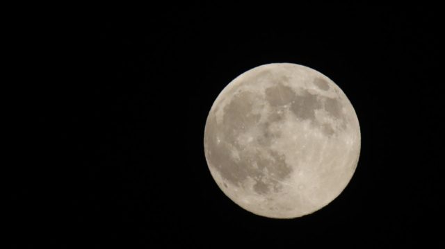  スーパーームーン 撮影場所：自宅 撮影日時：R071105　17：00ごろ